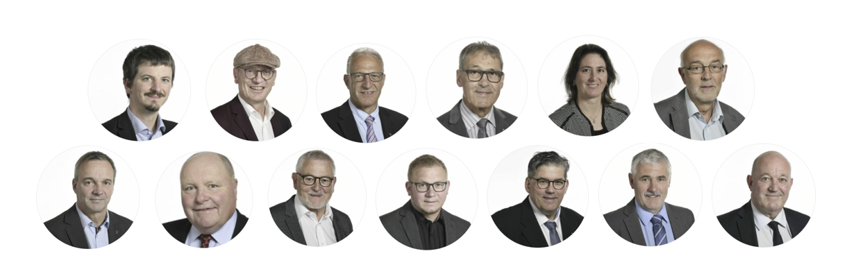 FDP - PLR Slider